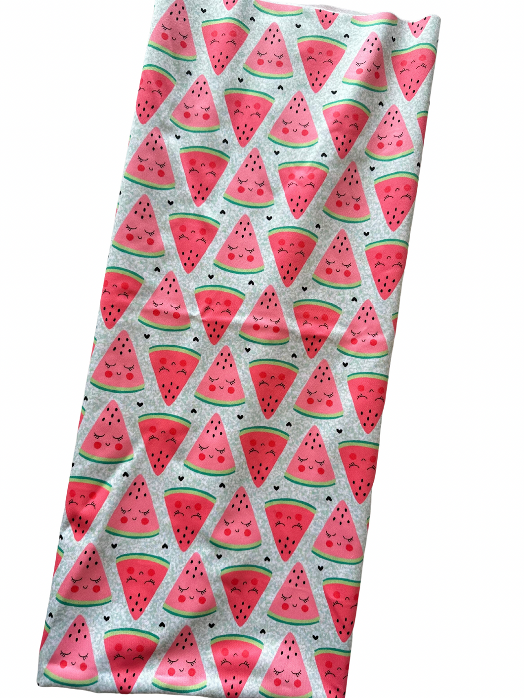 Watermelons- Swim Diaper
