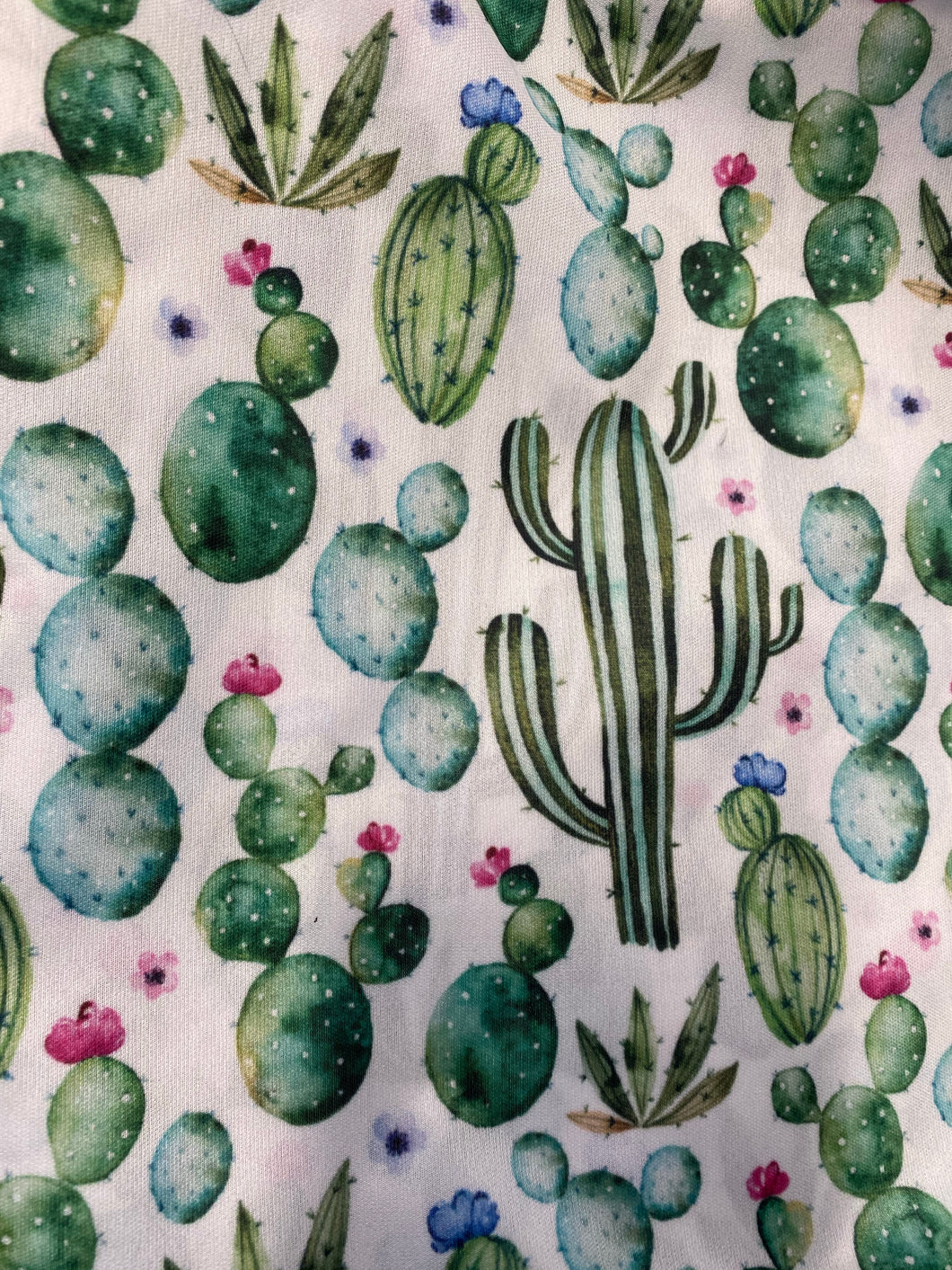 Cactus- Swim Diaper