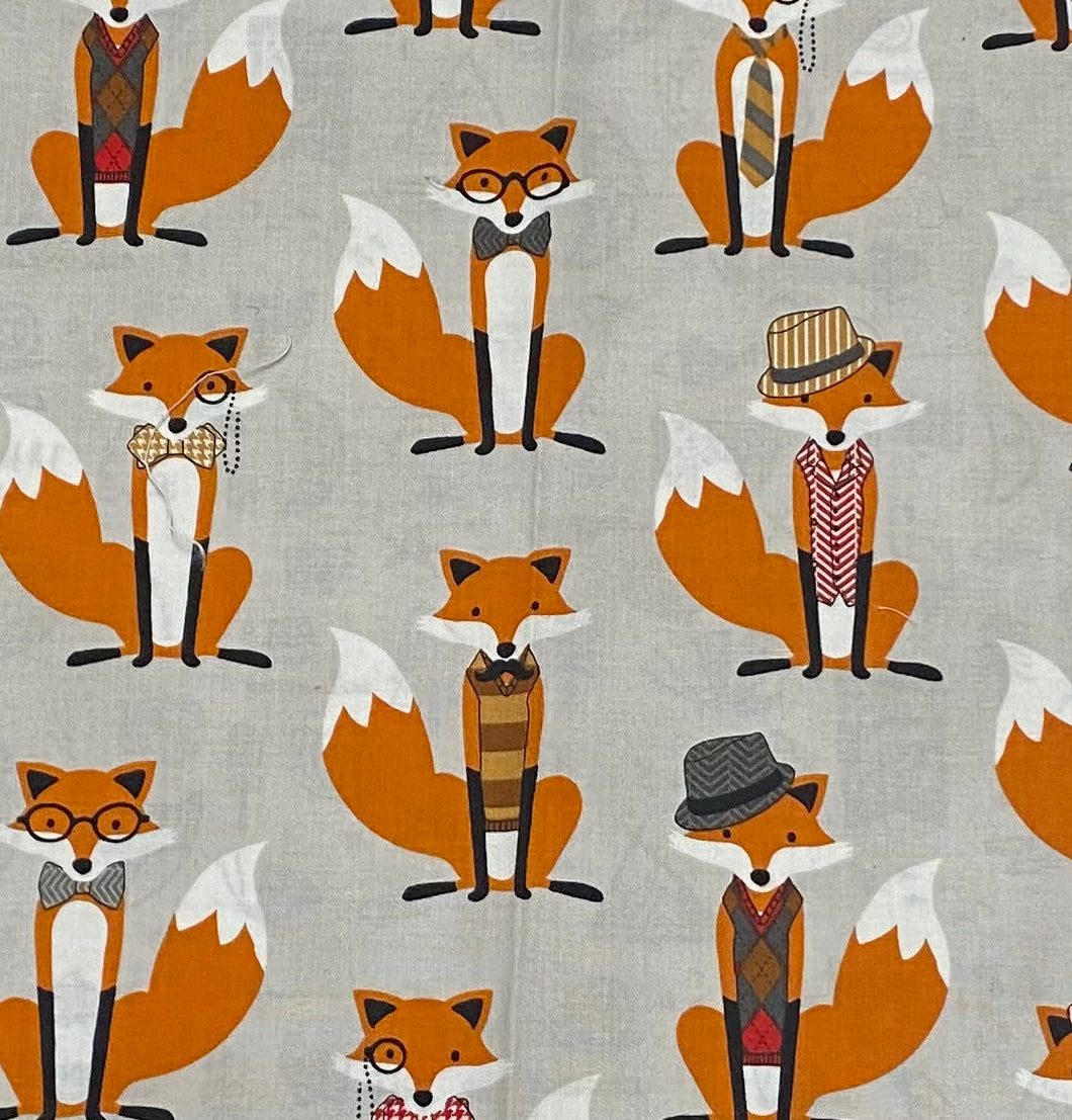 Play Carrier- Foxes
